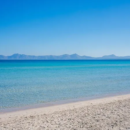Beautiful Apartment, 50m From