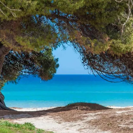 Beautiful Apartment, 50m From *